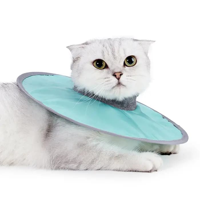 Collier élisabéthain réglable pour chat