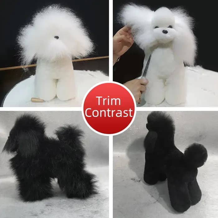 Modèle professionnel de toilettage pour animaux de compagnie, pour pratique de toilettage, modèle sq