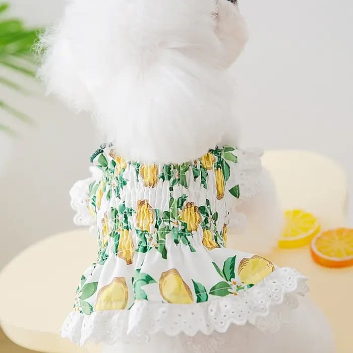 Robe d'été à fraises pour chien