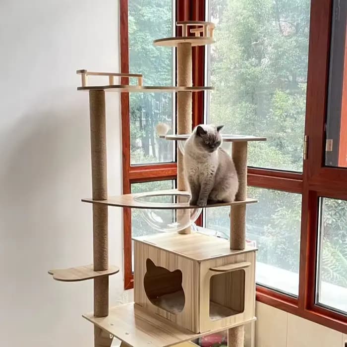 Arbre à chat corde en Sisal tour