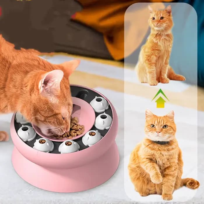 Jouet Puzzle pour Chat – Gamelle Anti-Glouton Interactif et Amusant – Ralentit la Mangeoire des Animaux – Protège le Cou du Chaton – Conception Inclinée Multifonctionnelle pour l'Alimentation des Anim