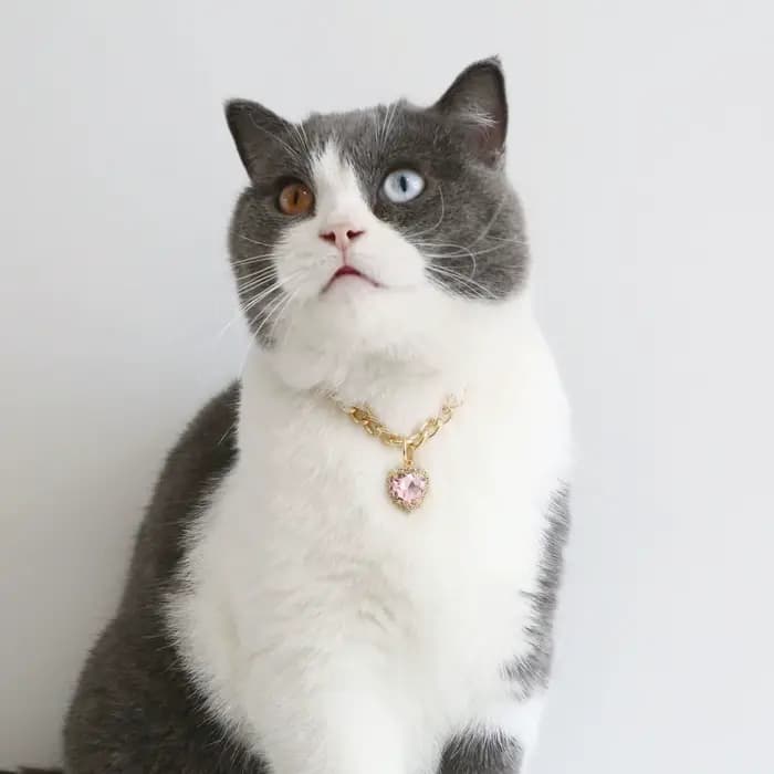 Collier de luxe pour chien et chat, bijoux avec pendentif en forme de cœur et de diamant, chaîne en