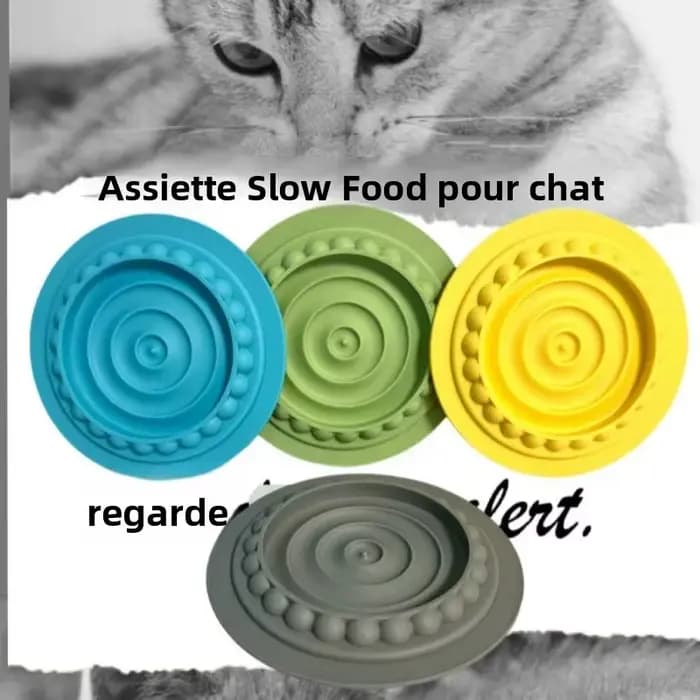 Tapis de nourrissage lent pour chat