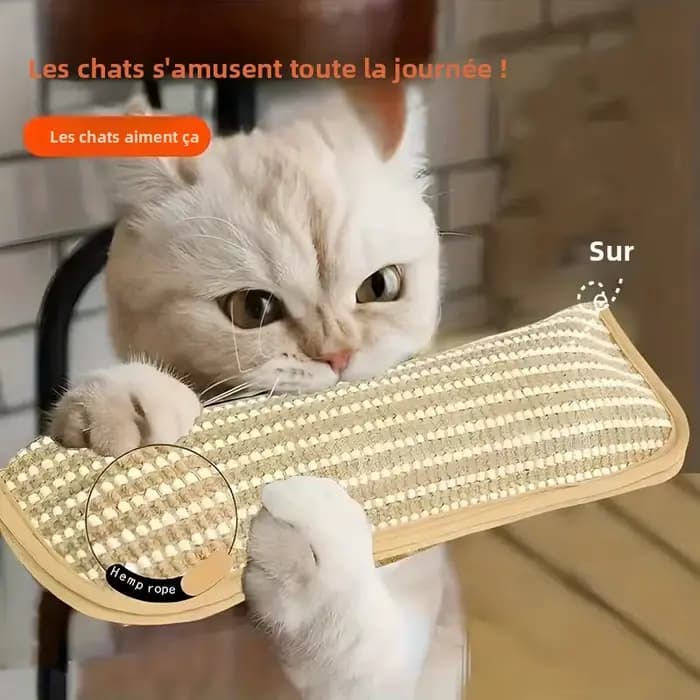 Coussin de jeu et griffoir pour chat pour le jeu individuel et l'interaction intime, pour garder votre ami félin heureux et apaisé