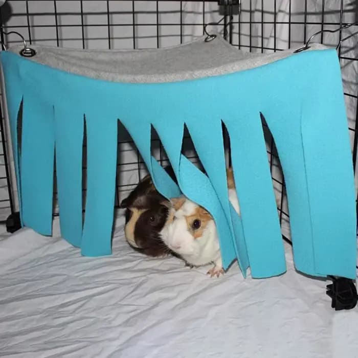Tente à pampilles pour animaux de compagnie, cachette, cochon d'inde, Hamster, hérisson, hamac, ride