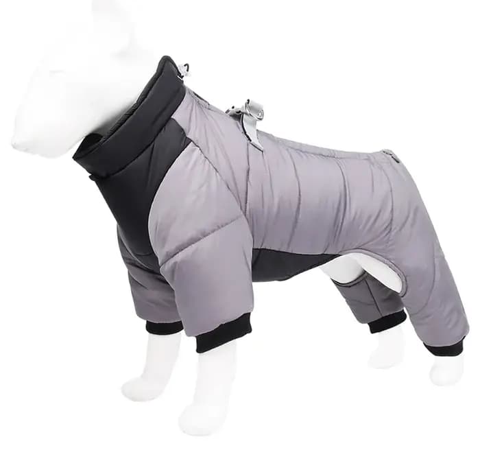 Combinaison imperméable pour chien