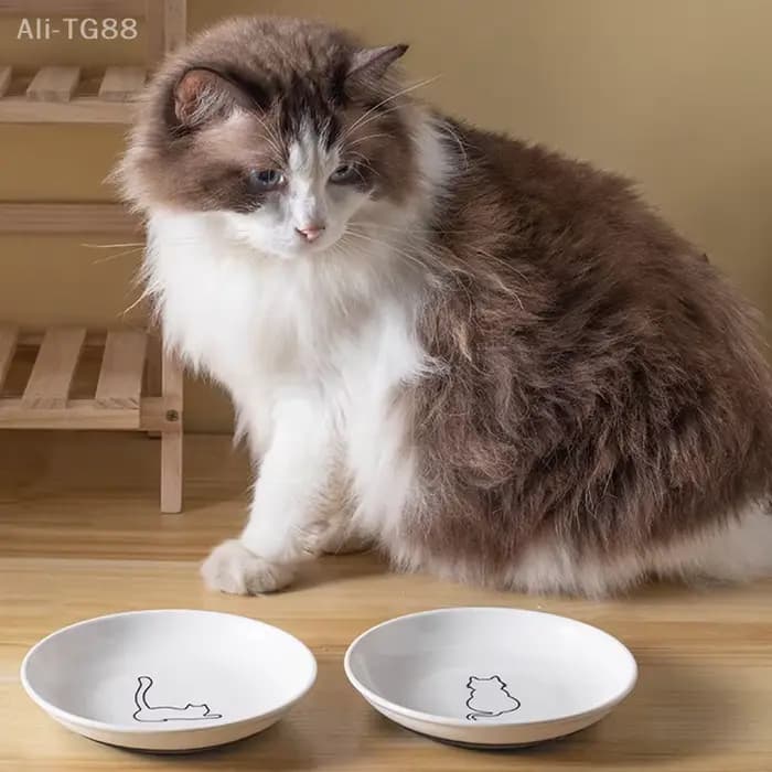 Bol d'alimentation en céramique pour chatons ; Plateau antidérapant pour chat de compagnie ; Support de coussin en
