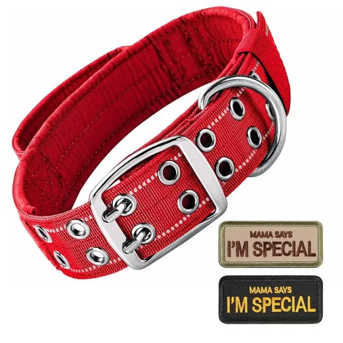 Collier pour chien tactique robuste à Double boucle
