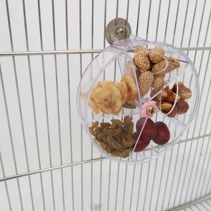 Jouets pour perroquets rotatifs pour animaux de compagnie