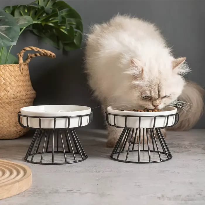 Nouveau bol en céramique pour chat à jambes hautes de grand diamètre