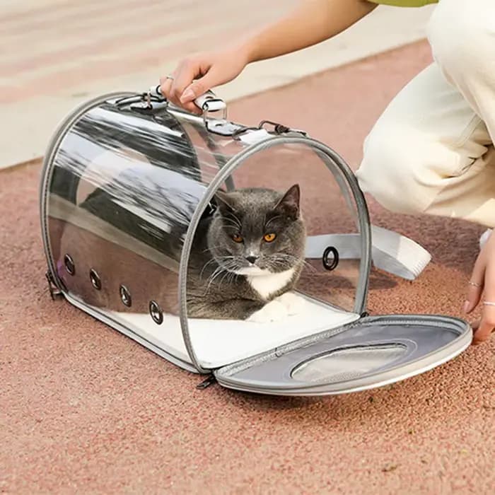 Nouveau transporteur pour animaux de compagnie Portable chiens chat Cage transparente sac à dos Transport sac à main respirant pour petits animaux chien chaton chiots