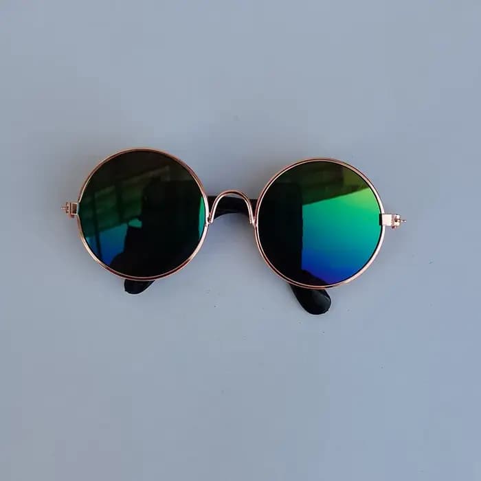 Lunettes rondes Vintage pour animaux de compagnie