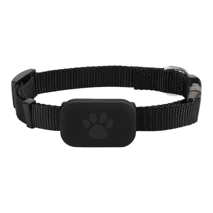 Traqueur GPS pour animaux de compagnie étanche-localisateur de chien et de chat