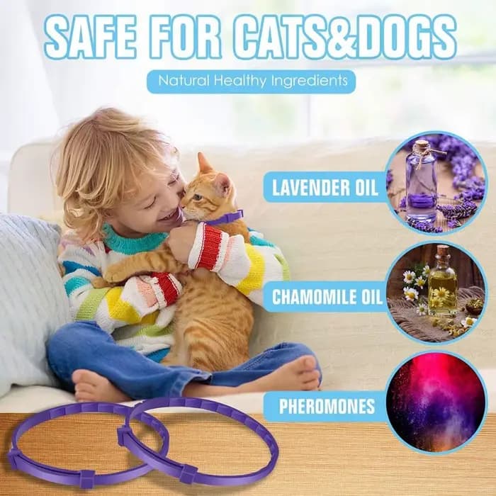 Collier apaisant imperméable et apaisant pour chien et chat