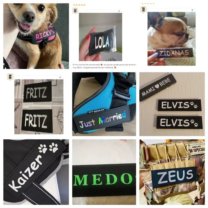 Étiquette autocollante réfléchissante avec nom de chien, 2 pièces, pour collier de harnais pour anim
