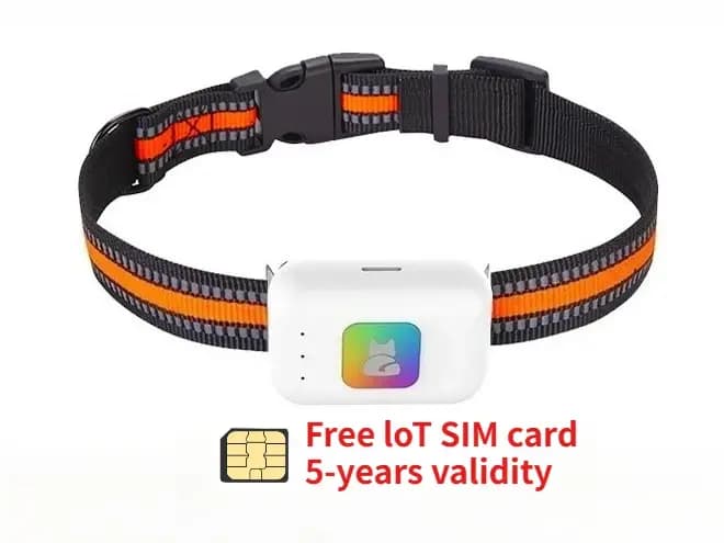 Collier GPS intelligent 4G pour chiens et chats