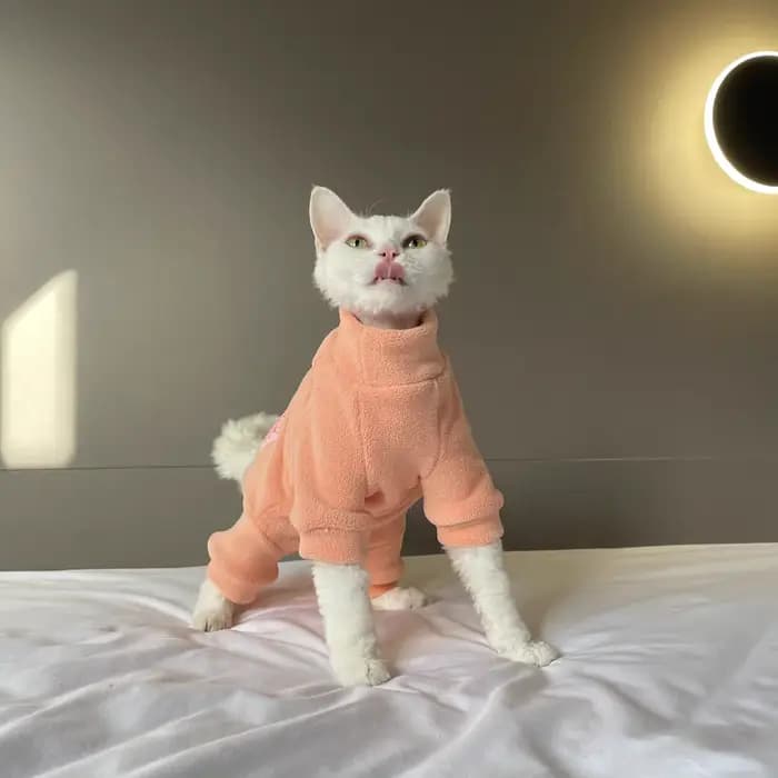 Manteau polaire pour chat Sphynx