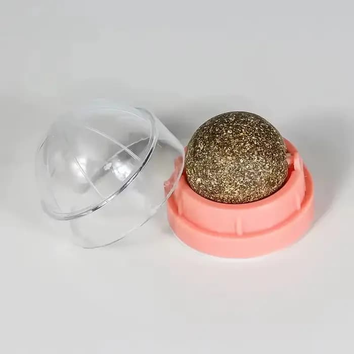 Jouet de nettoyage des dents pour chat en forme de boule de menthe