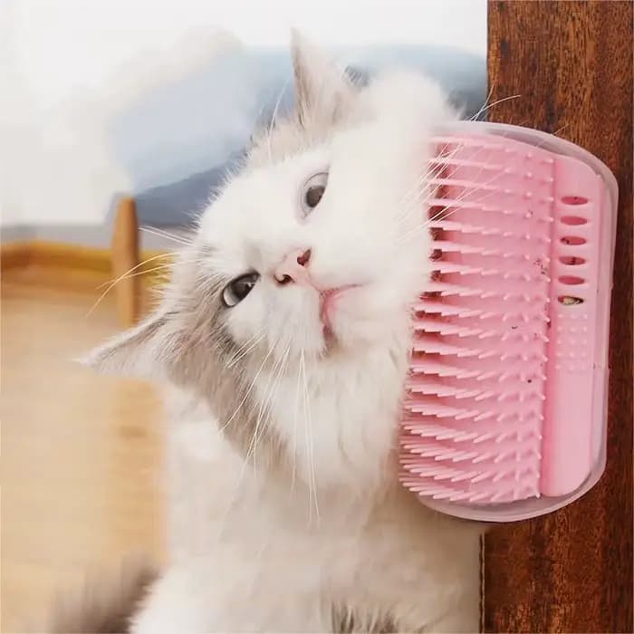 Brosse de massage et griffoir pour chat - Brosse d'angle anti-griffures avec herbe à chat, peigne démêlant pour animaux de compagnie pour l'élimination des poils et le toilettage