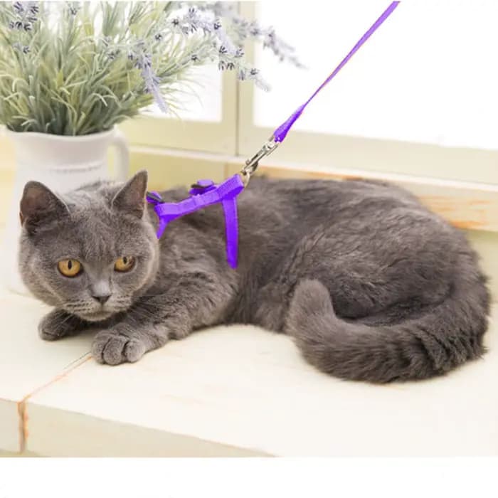 Harnais et laisse pour chat, anti-évasion, sangle en nylon réglable, collier, harnais de type H pour chats, chatons, chiots, accessoires pour animaux de compagnie
