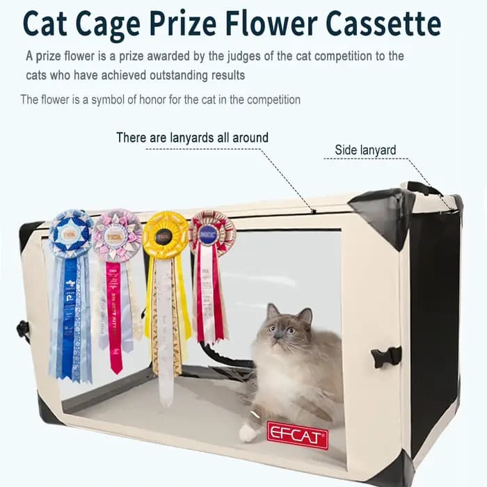 Grande cage d'exposition de chat pour montrer