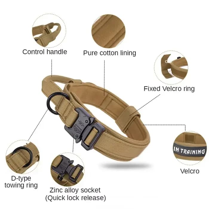 Ensemble collier et laisse tactiques militaires pour chien, collier durable pour animaux de compagni