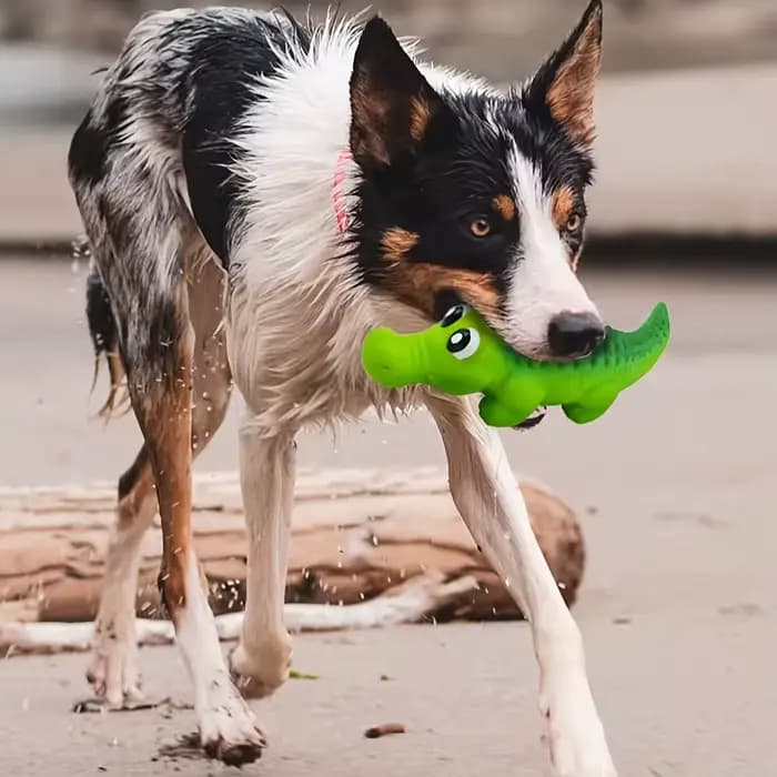 Jouet pour chien en caoutchouc couineur en forme de crocodile