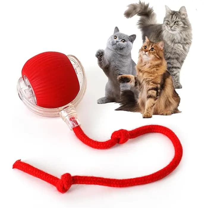 Balle de jouet pour animaux de compagnie avec corde de queue