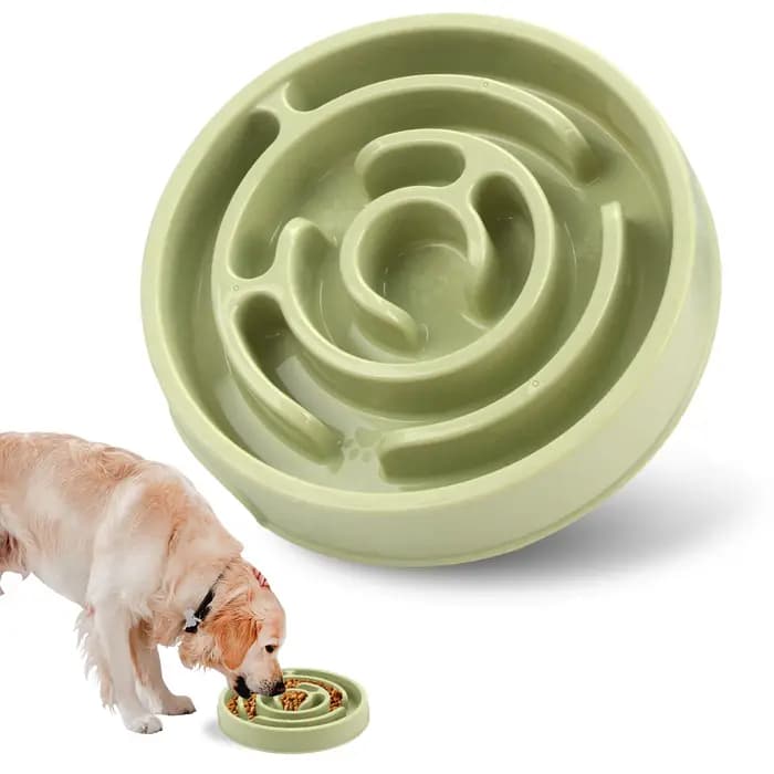 Bol d'alimentation lente pour chien de compagnie