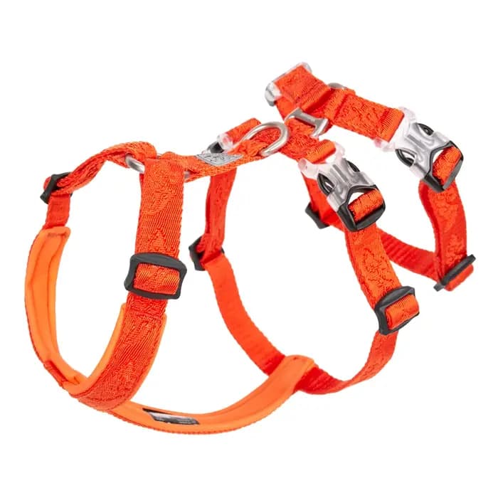Winhyepet harnais pour chien sangle pour animaux de compagnie gilet réglable Triple Anti-évasion voyage marche accessoir