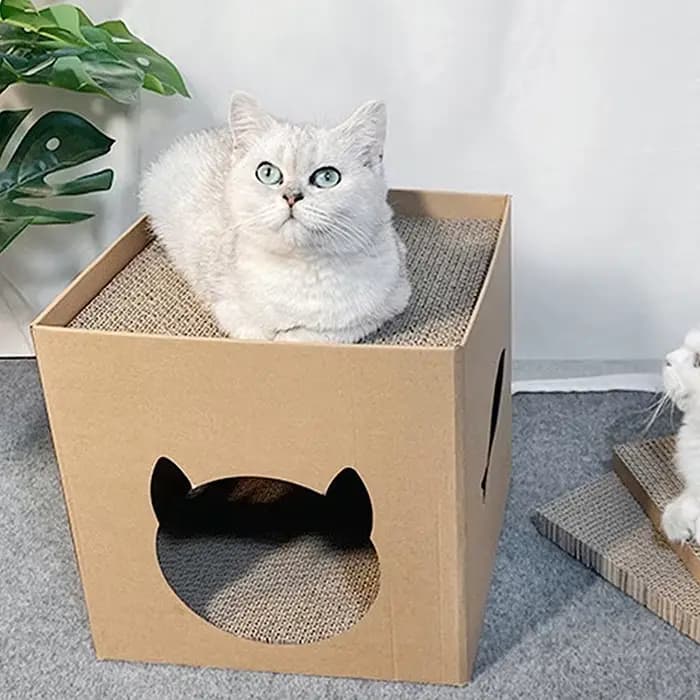 Planche à gratter pour maison de chat, maison pliante pour animaux de compagnie avec tampons à gratt