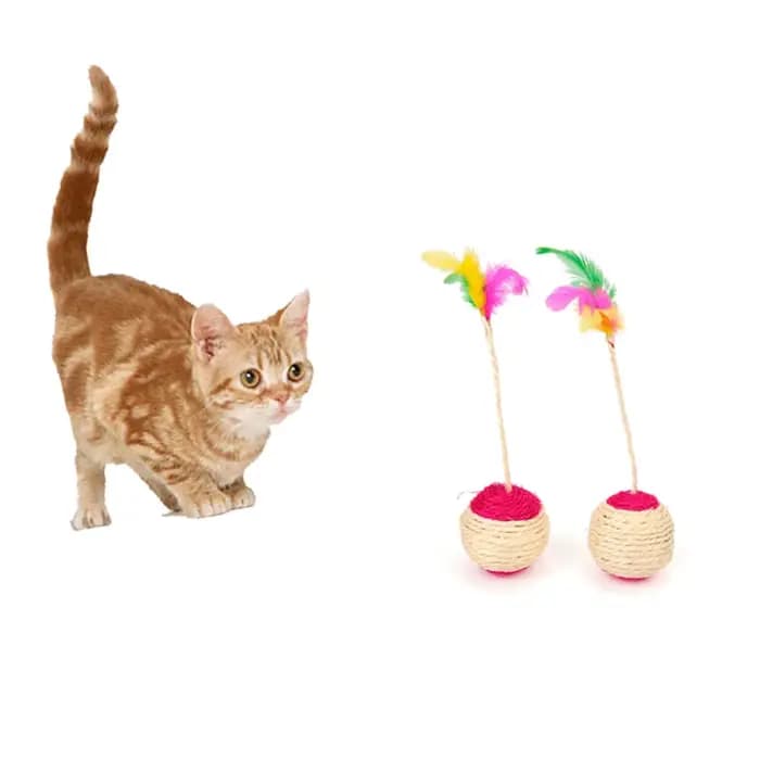 Jouet Interactif pour Chat, Plumes Colorées, Balle de Couverture, Griffe de Meulage, Volant en Sisal