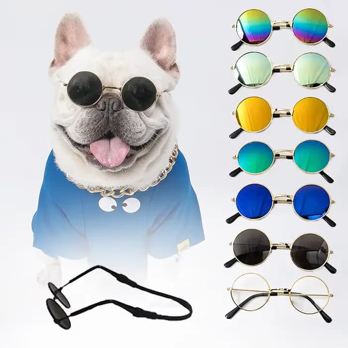 Lunettes rondes Vintage pour animaux de compagnie, accessoires pour chats, accessoires de Photos pou