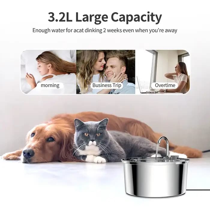 Distributeur d'eau pour animaux de compagnie en acier inoxydable