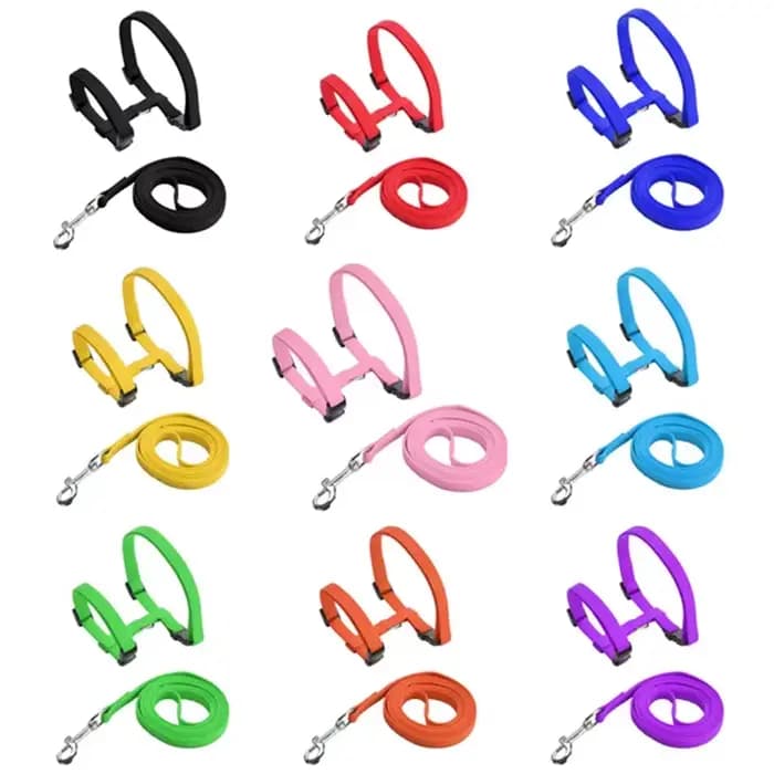 Harnais et laisse pour chat, anti-évasion, sangle en nylon réglable, collier, harnais de type H pour chats, chatons, chiots, accessoires pour animaux de compagnie