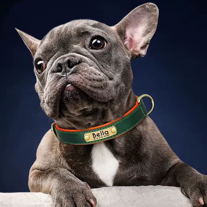 Collier pour chien avec plaque signalétique en cuir PU personnalisé, colliers pour chiens rembourrés