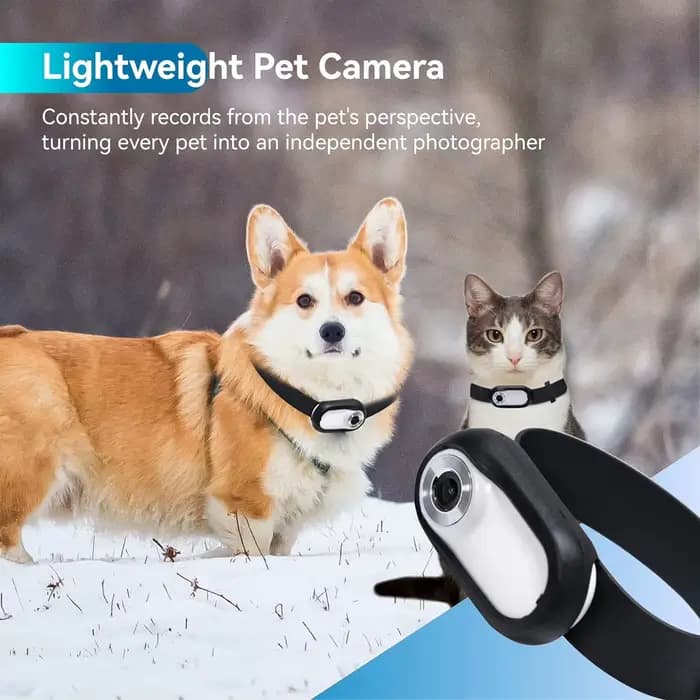 Caméra de collier pour animaux de compagnie, grand Angle de 120 degrés, caméra d'action pour animaux de compagnie, Support carte mémoire Full HD avec enregistrements vidéo pour l'extérieur pour chat