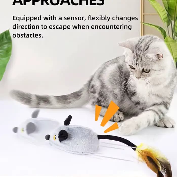 Simulation souris télécommande électrique chat jouet humain