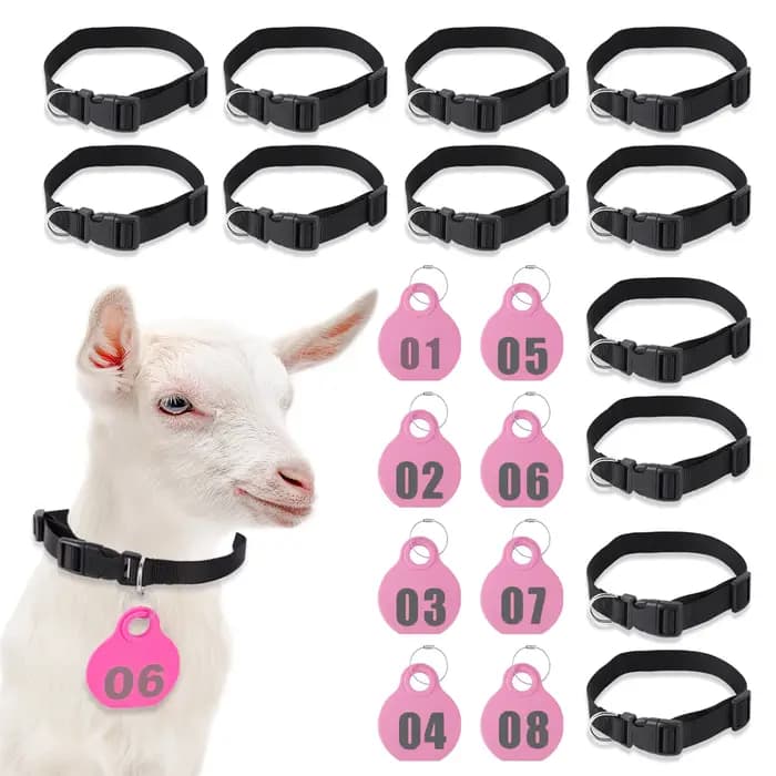 Collier en Nylon réglable pour animaux de compagnie