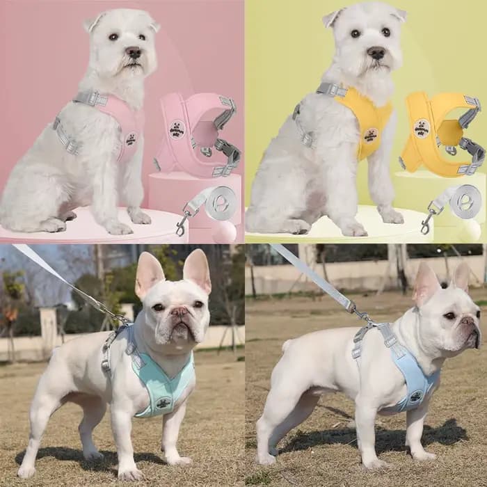 Ensemble Harnais et Laisse pour Chien, Sangle de Poitrine Respirante Réfléchissante pour Bouledogue