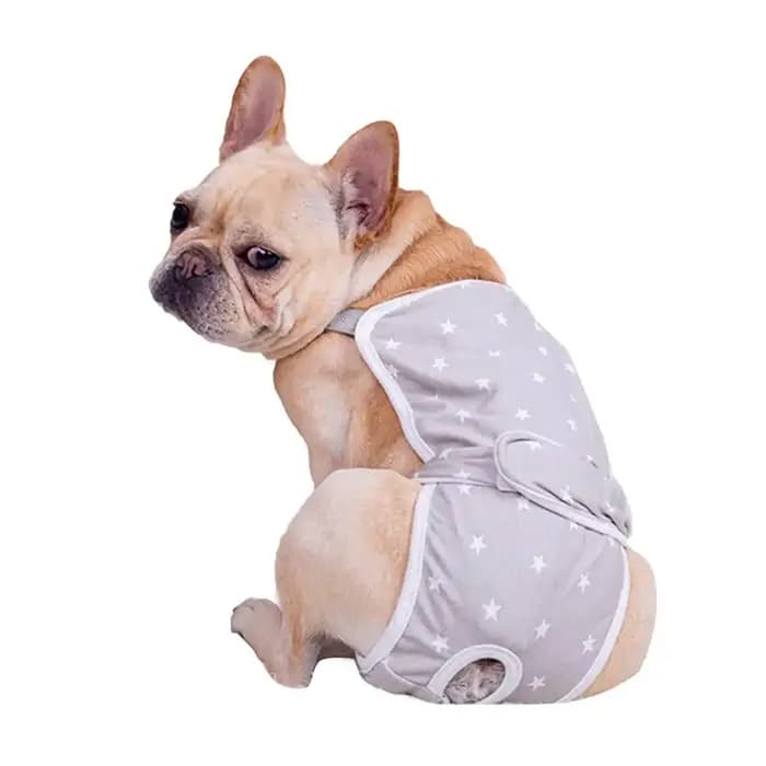 Couche-culotte en coton lavable pour animaux de compagnie