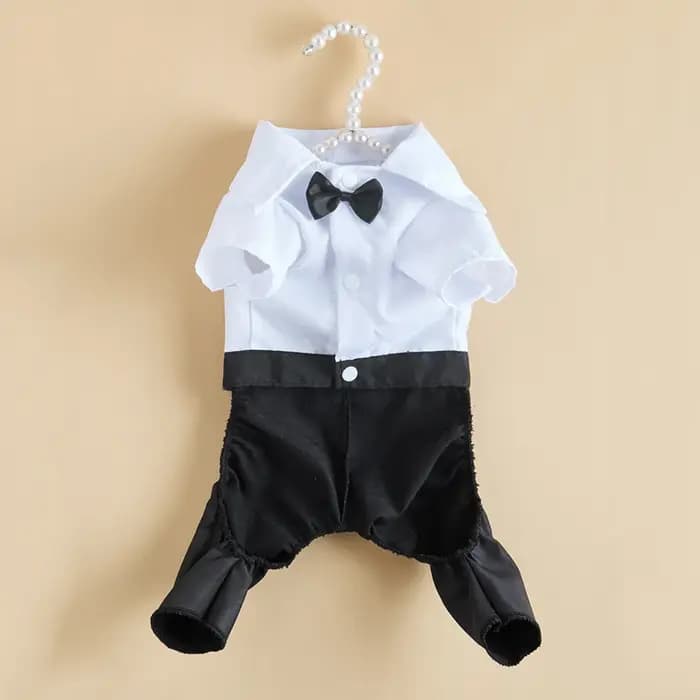 Costume occidental pour hommes pour chats