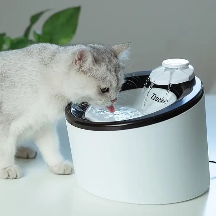 Truelove fontaine d'eau pour animaux de compagnie fontaine d'eau automatique pour chat mangeoire d'e