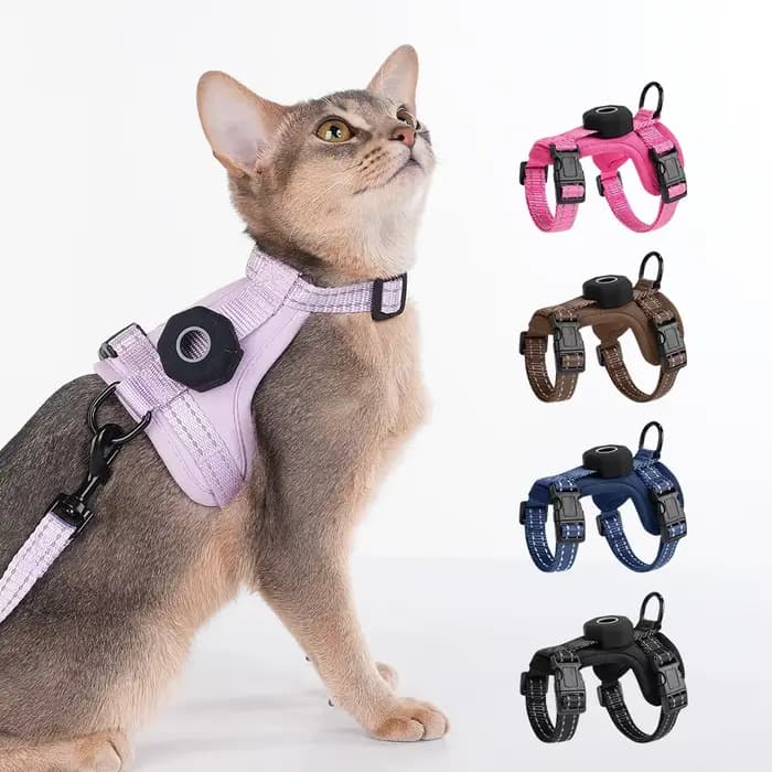 Ensemble Harnais et Laisse pour Chat Anti-Évasion
