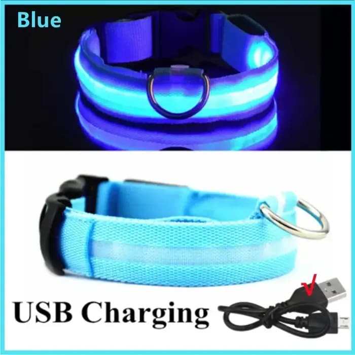 Colliers de Charge lumineux pour chiens