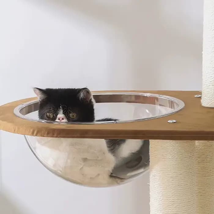 Arbre à chat en bois massif