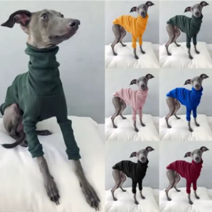 Fil à col roulé en coton pour animaux de compagnie, vêtements pour chiens, veste à deux pattes pour