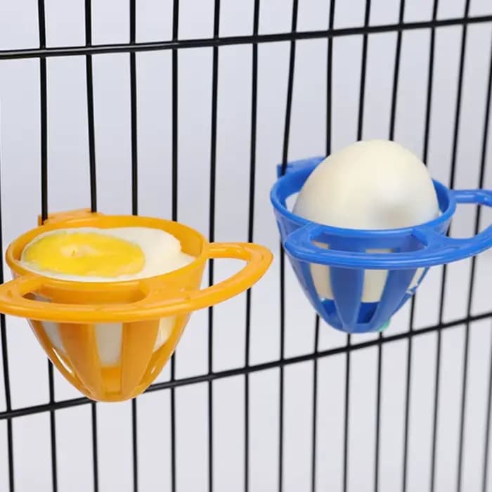 Mangeoire pour oiseaux et perroquets, porte-fruits et légumes, panier d'accès, conteneur, jouet pour