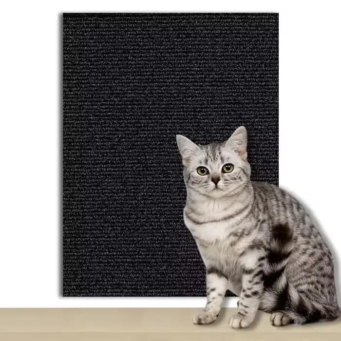 7 couleurs chat Scratcher canapé protecteur chats