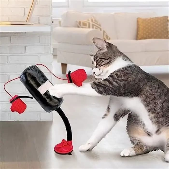 Nouveau dessin animé chat sac de boxe jouet intérieur chaton chat boxe jouet avec gants de boxe pour